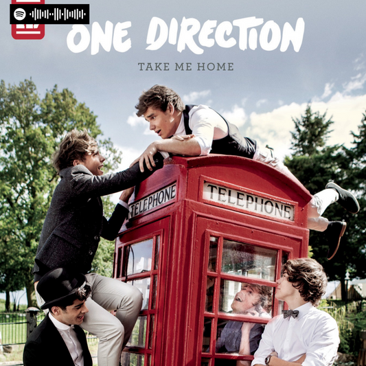 One Direction - Take Me Home Canvas