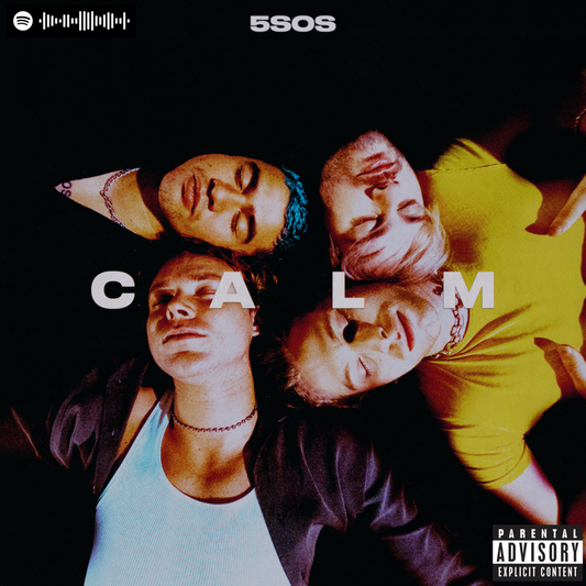 5 Seconds of Summer - CALM Canvas