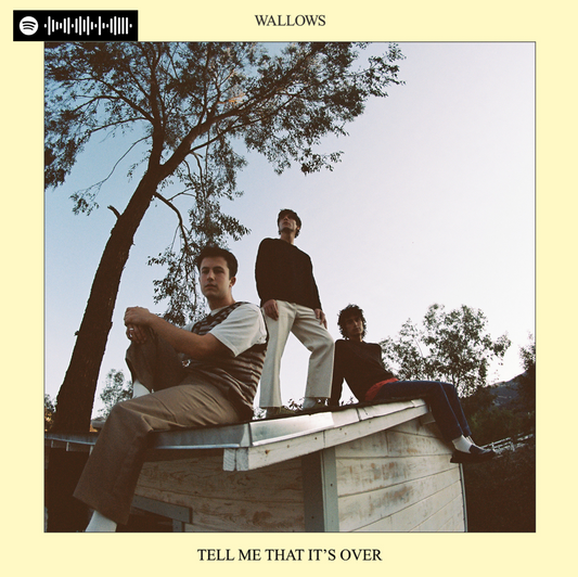 Wallows - Tell Me That It's Over Canvas